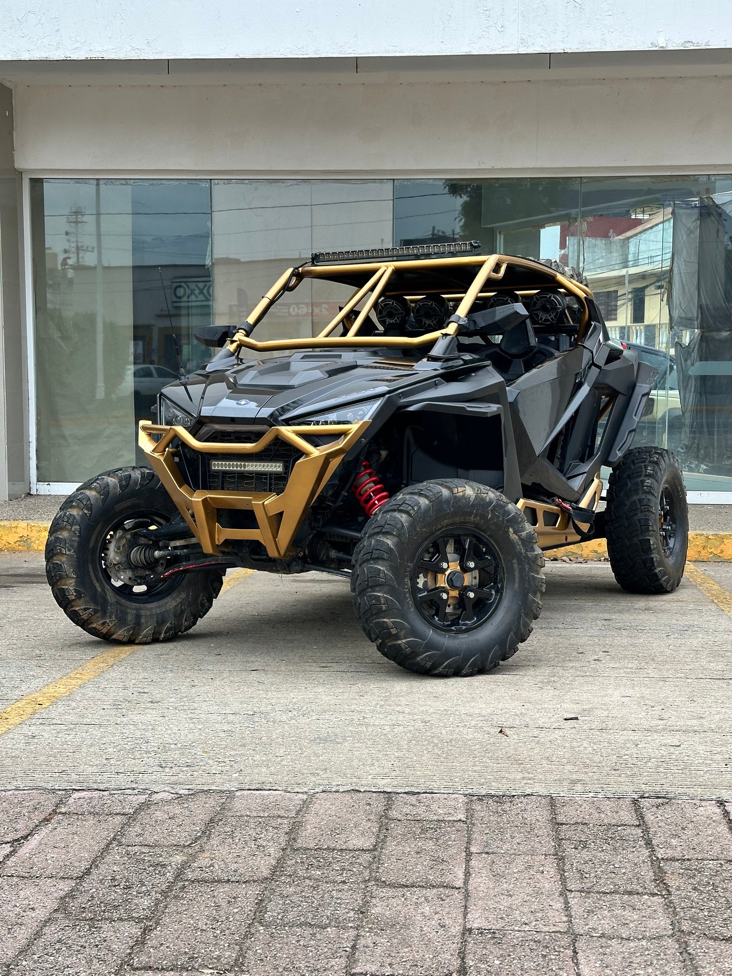 2020 Polaris RZR Pro XP